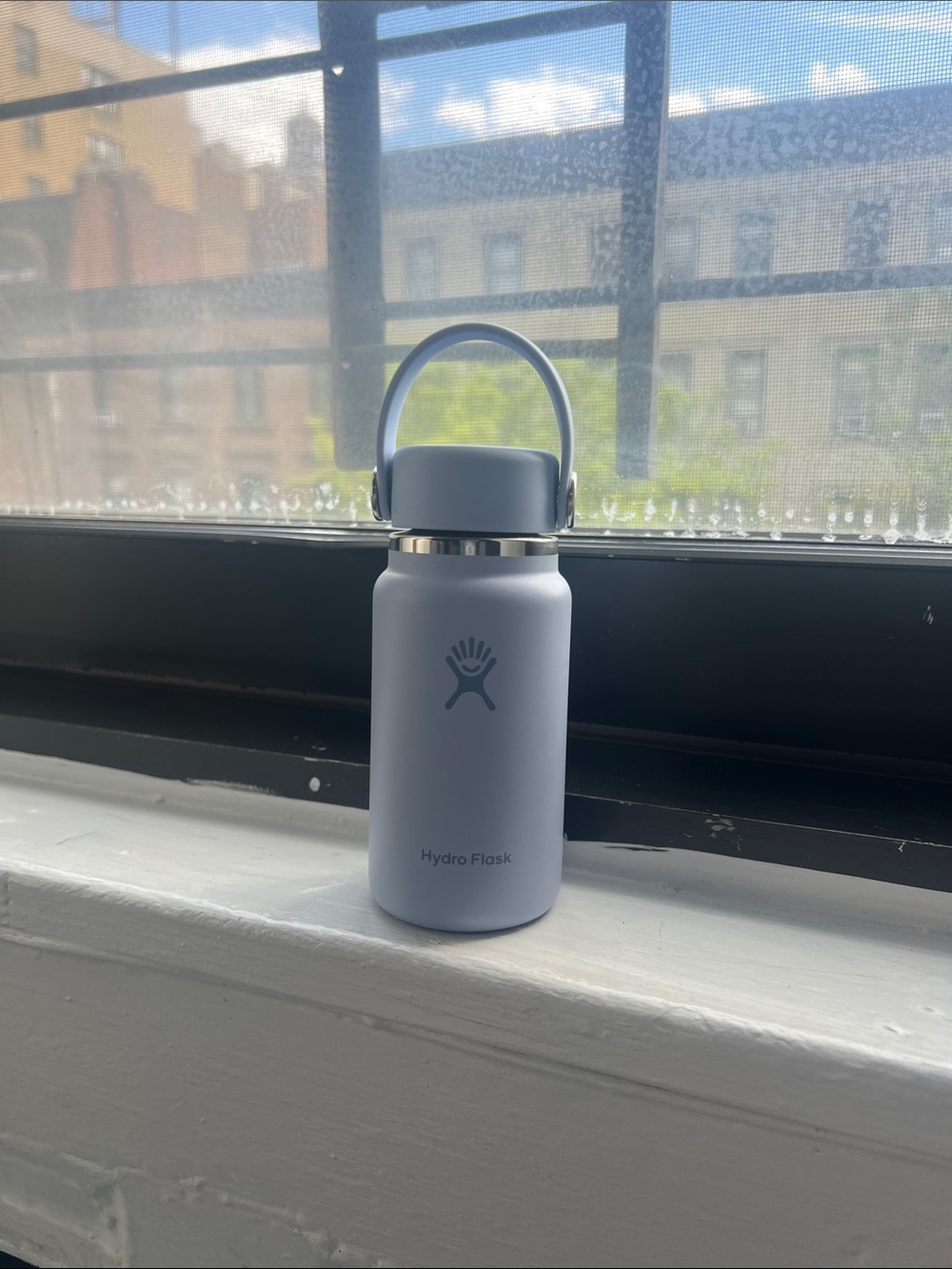 Hydro Flask Small Lavender Portable Water Bottle